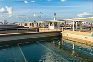 Bag Filter vs Cartridge Filter in Water Treatment Bag Filter vs Cartridge Filter in Water Treatment