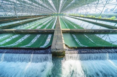 SECONDARY WASTEWATER TREATMENT: HOW IT WORKS?