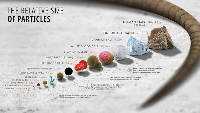 Different micron sizes visualization