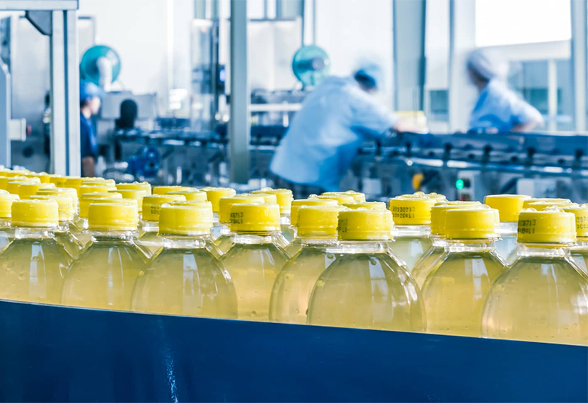 History Brother Filtration