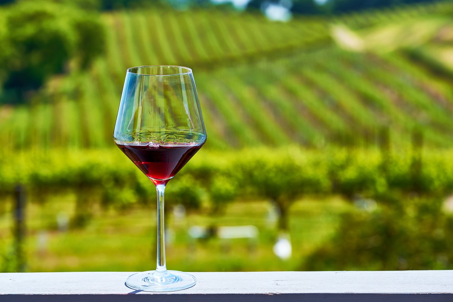 Winery Brewing Filtration Filter Media And Equipment