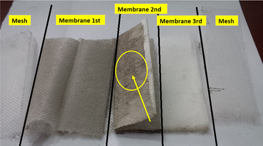 brand-X-membrane-structure