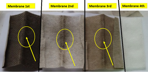 brand-Y-membrane-structure