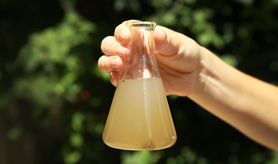 introduction water