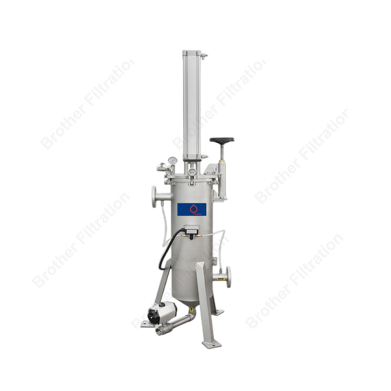 Pneumatic disc filter