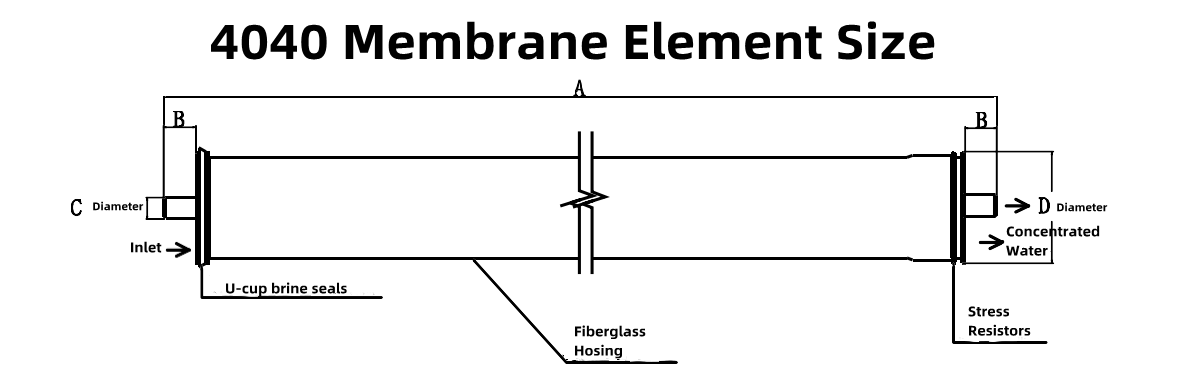 4040 Membrane element size