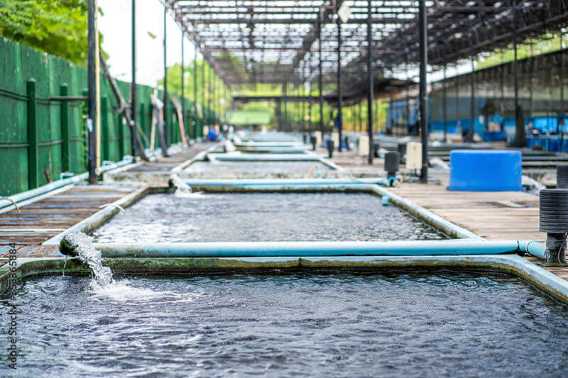 water flow