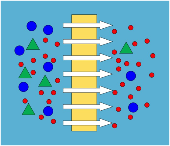 Membrane filtration 02