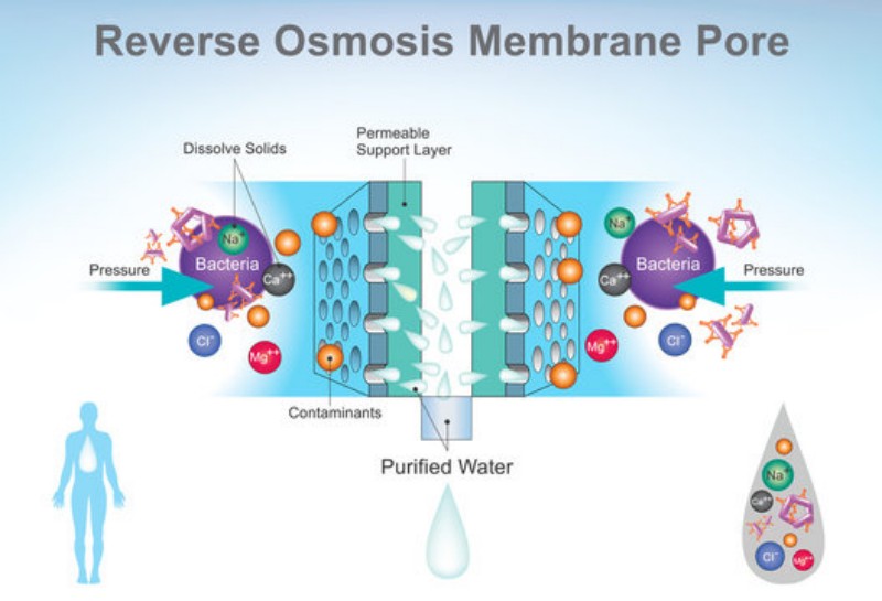 Reverse Osmosis membrane