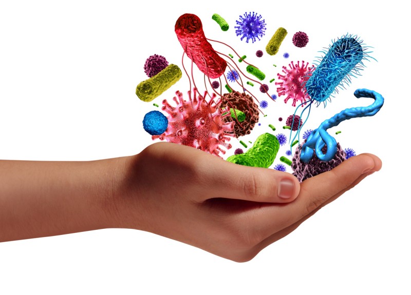 Removal of Microorganisms and Solids
