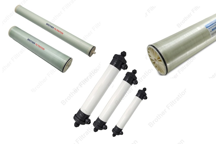 Filter Membranes